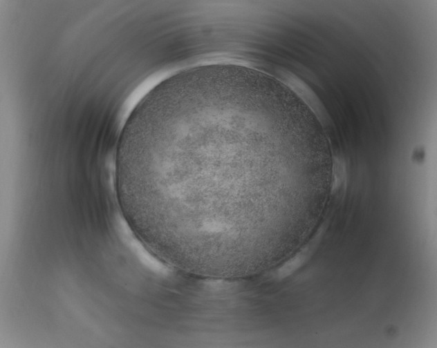 X0000113640812200910021915