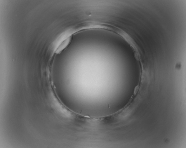 X0000113640813200910021915