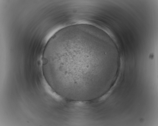 X0000113640814200910021915