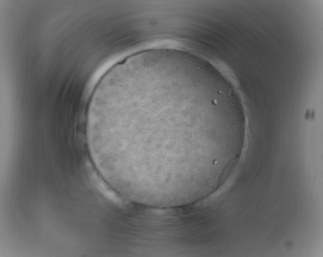 X0000113640816200910021915