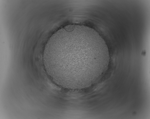 X0000113640817200910021914