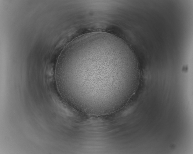 X0000113640818200910021914