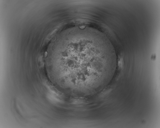 X0000113640819200910021914