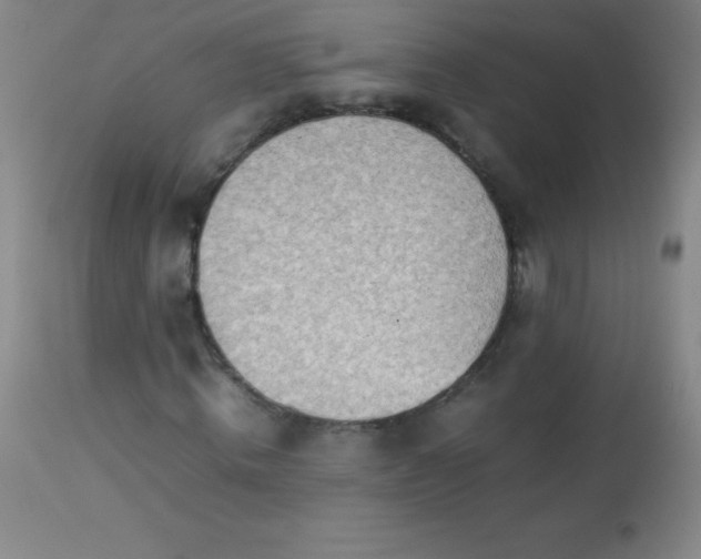 X0000113640820200910021914