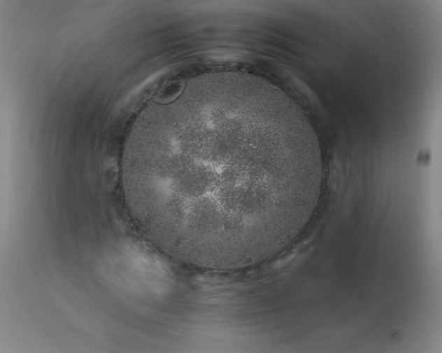 X0000113640821200910021914