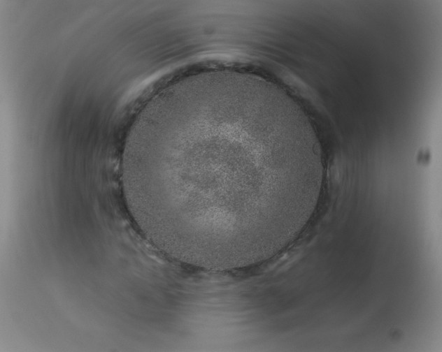 X0000113640822200910021914