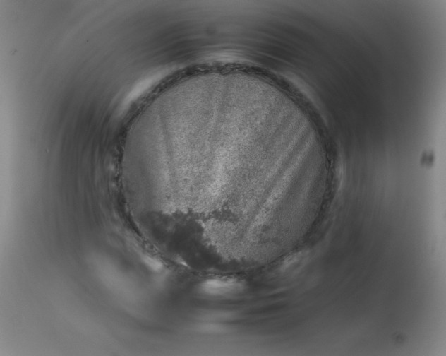 X0000113640823200910021914