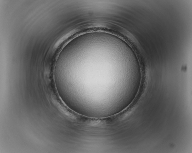 X0000113640826200910021914