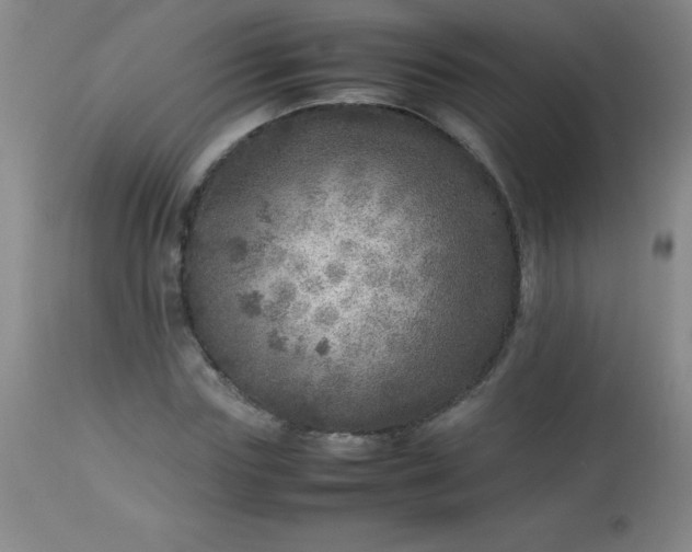 X0000113640827200910021914