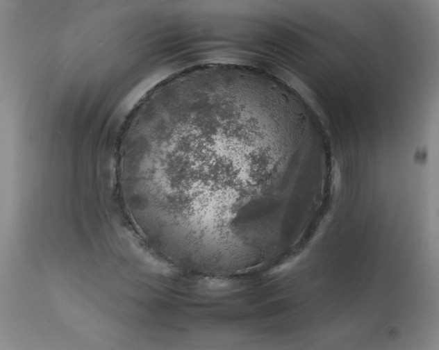 X0000113640829200910021914