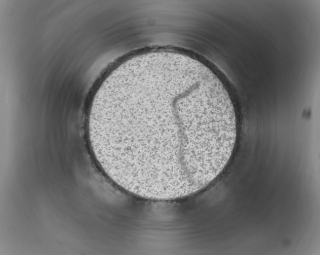 X0000113640832200910021914