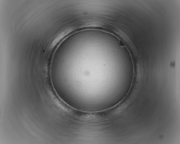 X0000113640834200910021914