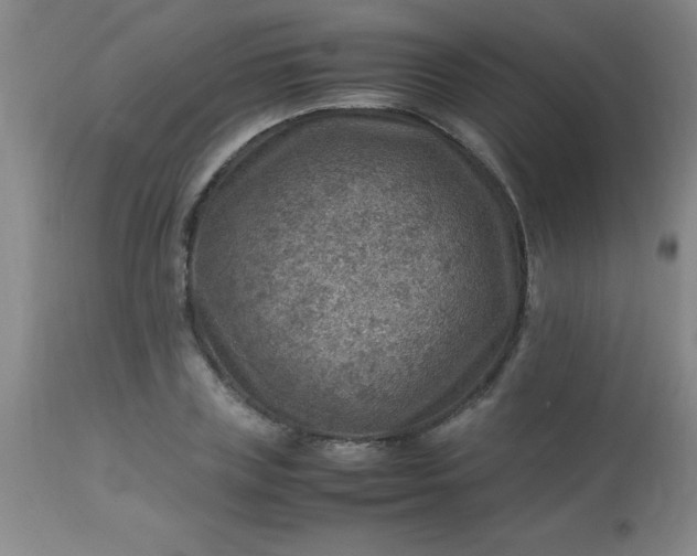 X0000113640835200910021914