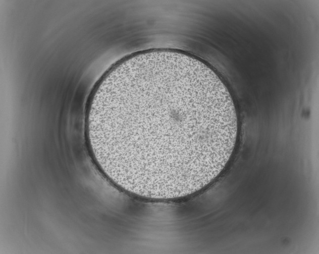 X0000113640836200910021914