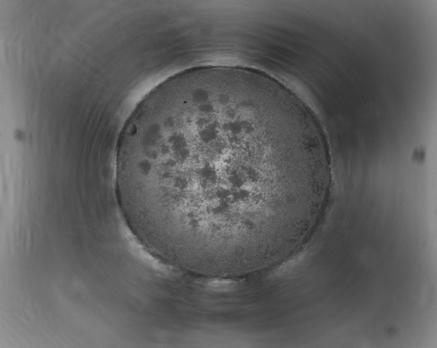 X0000113640839200910021914