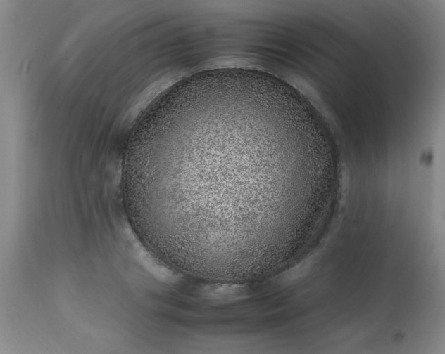 X0000113640841200910021914