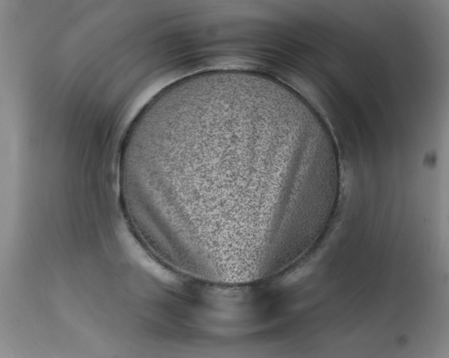 X0000113640843200910021914