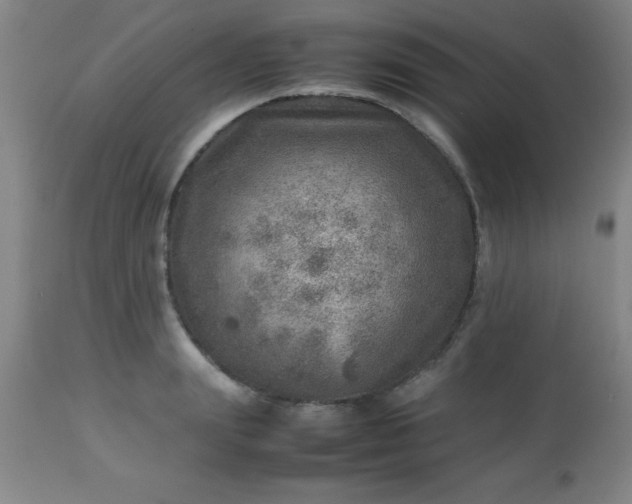 X0000113640847200910021915