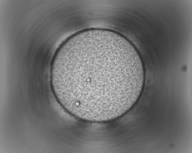 X0000113640848200910021915