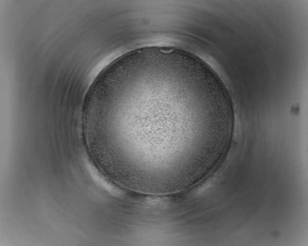 X0000113640850200910021915