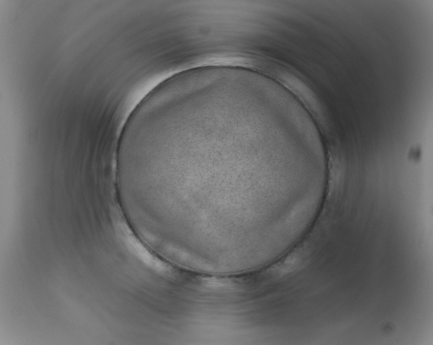 X0000113640852200910021915