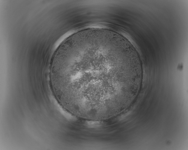 X0000113640853200910021915