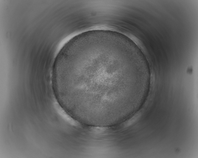 X0000113640854200910021915