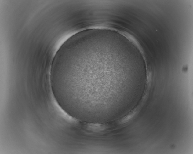 X0000113640855200910021915