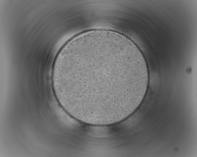 X0000113640856200910021915