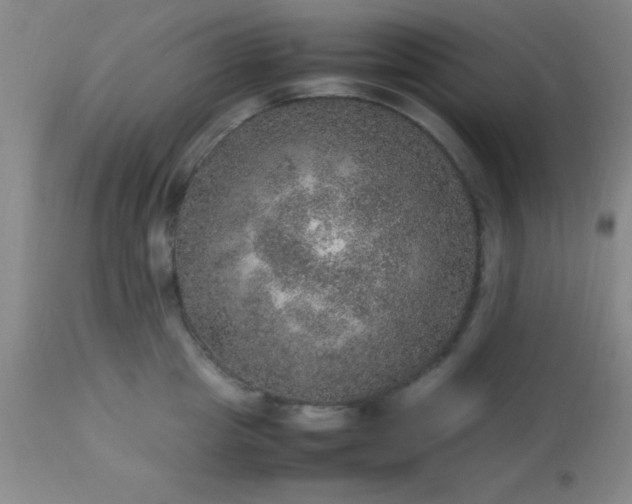 X0000113640857200910021915