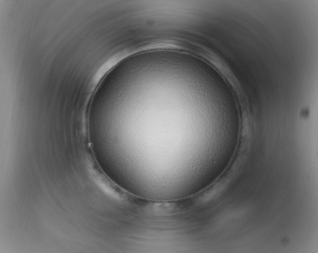 X0000113640858200910021915