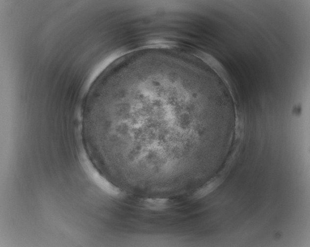 X0000113640859200910021915