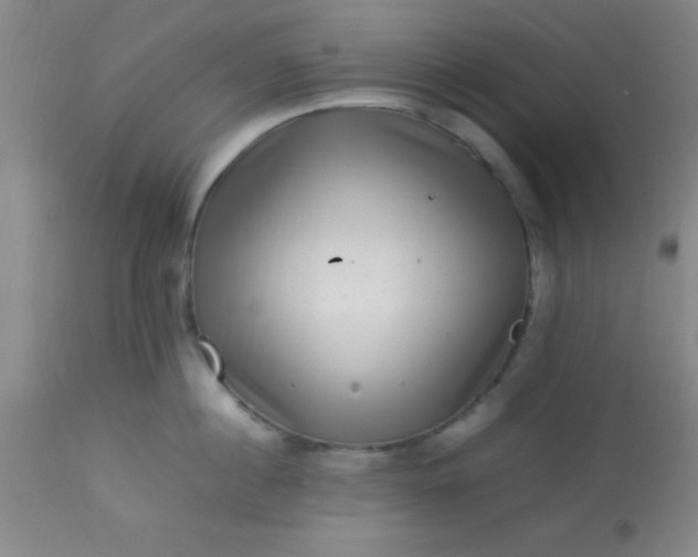 X0000113640860200910021915