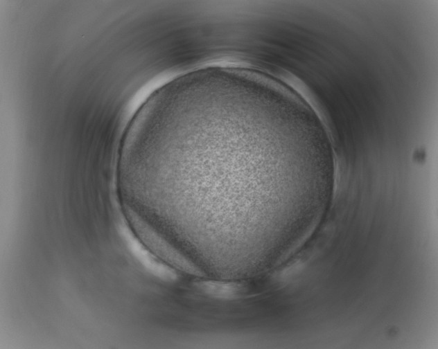 X0000113640861200910021915