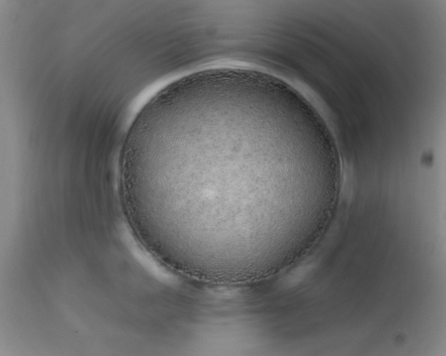 X0000113640862200910021915