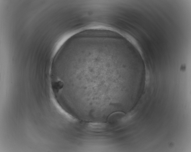 X0000113640863200910021915