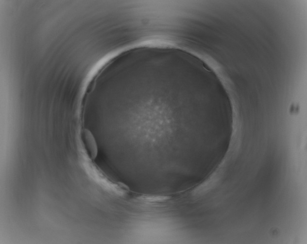 X0000113640864200910021915