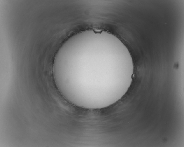 X0000113640865200910021914