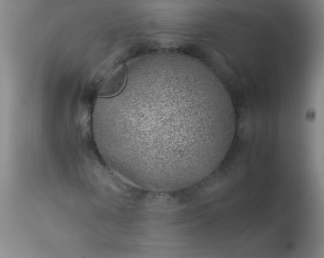 X0000113640866200910021914