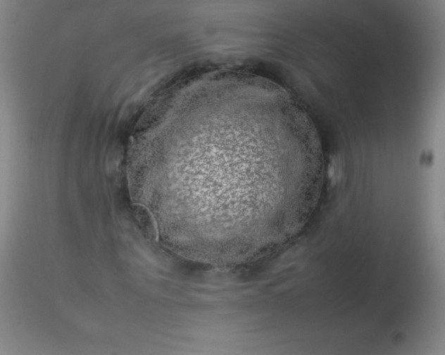 X0000113640867200910021914