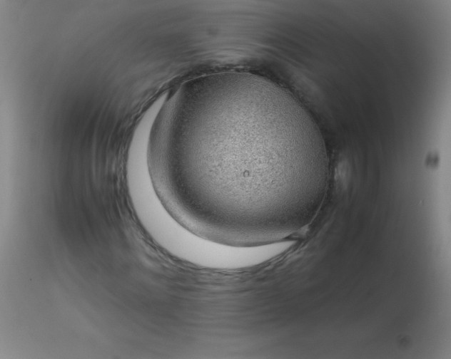 X0000113640868200910021914