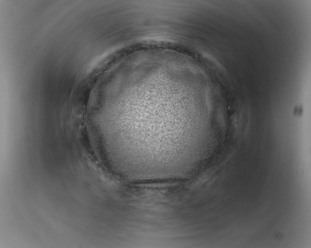 X0000113640870200910021914