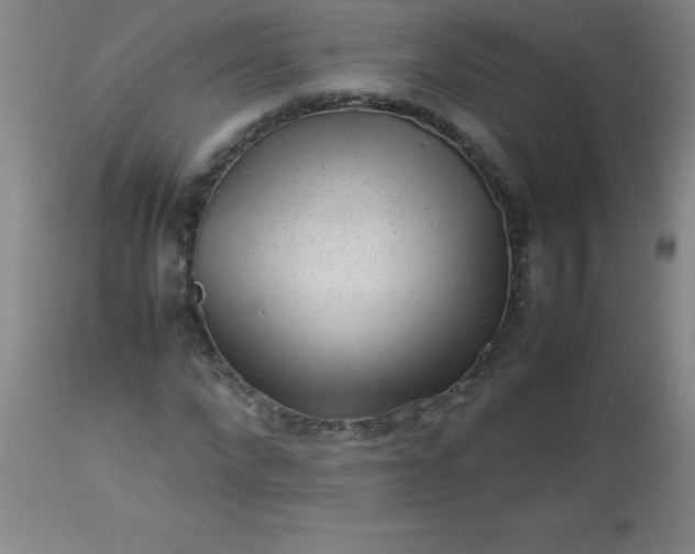 X0000113640872200910021914