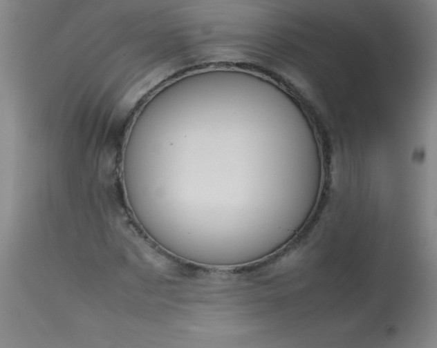 X0000113640873200910021914