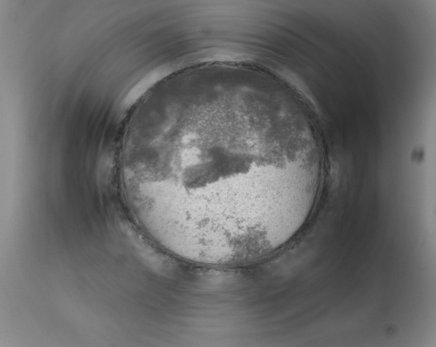 X0000113640874200910021914