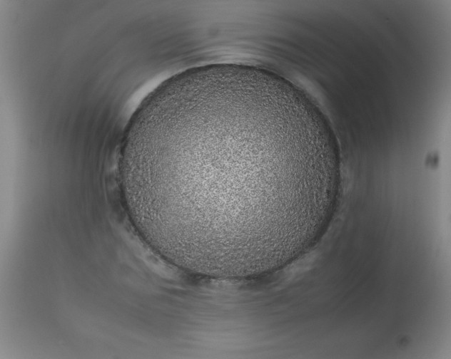 X0000113640875200910021914