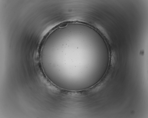 X0000113640876200910021914