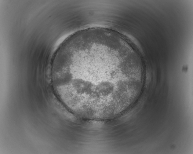 X0000113640878200910021914