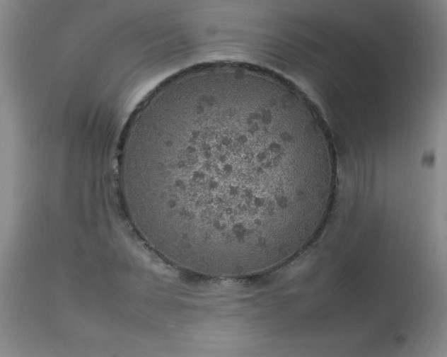 X0000113640879200910021914