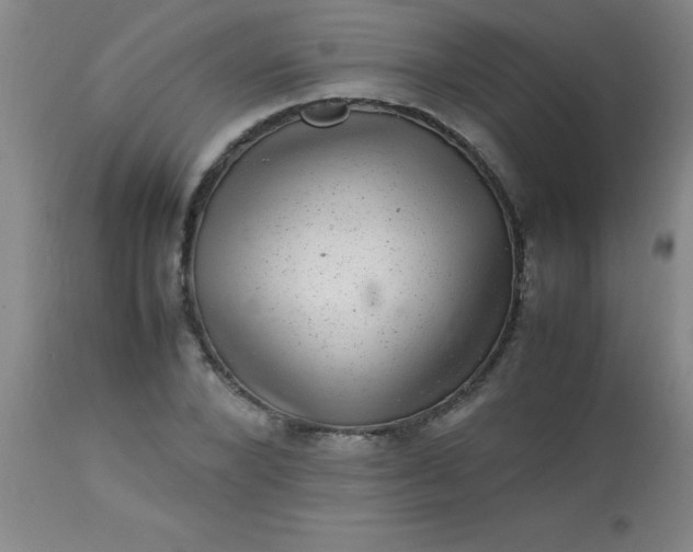 X0000113640880200910021914